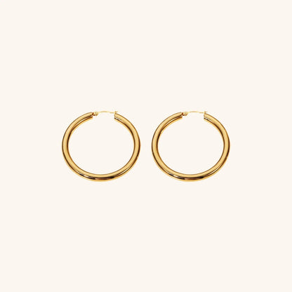 [Royal&Vicky]Wide Hoop Earrings