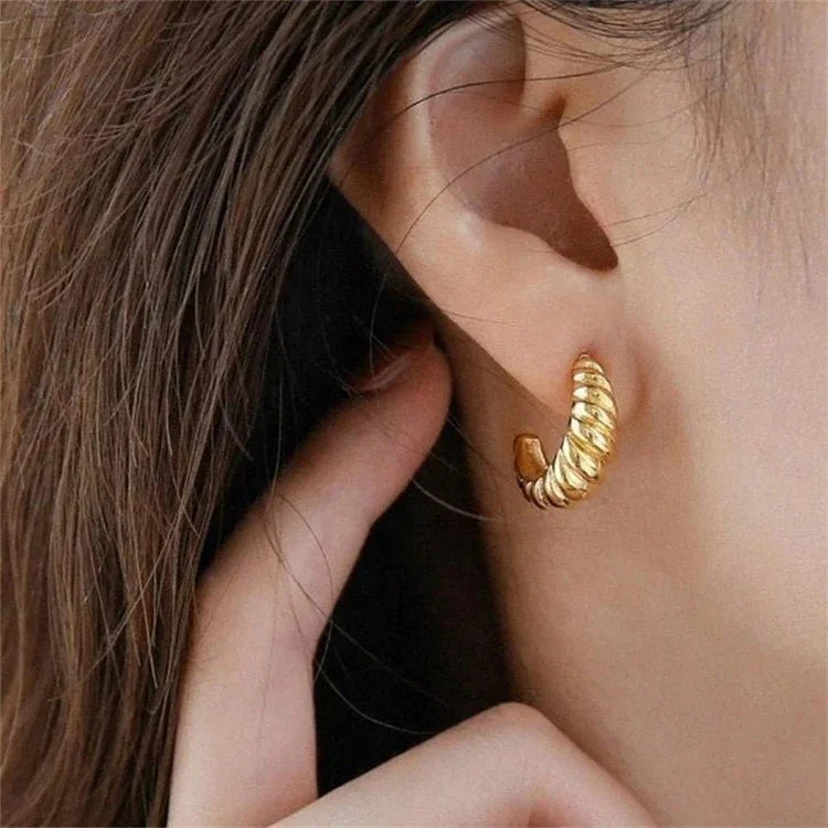 [Royal&Vicky]Croissant Arc Earrings