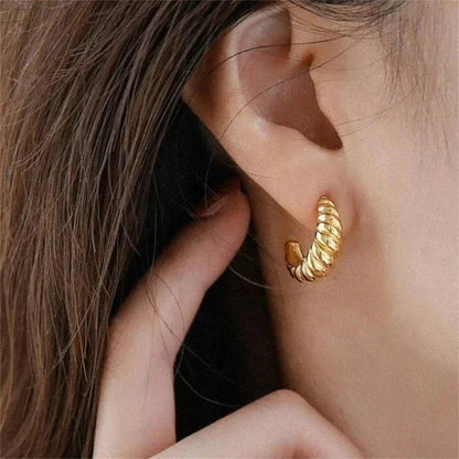 [Royal&Vicky]Croissant Arc Earrings
