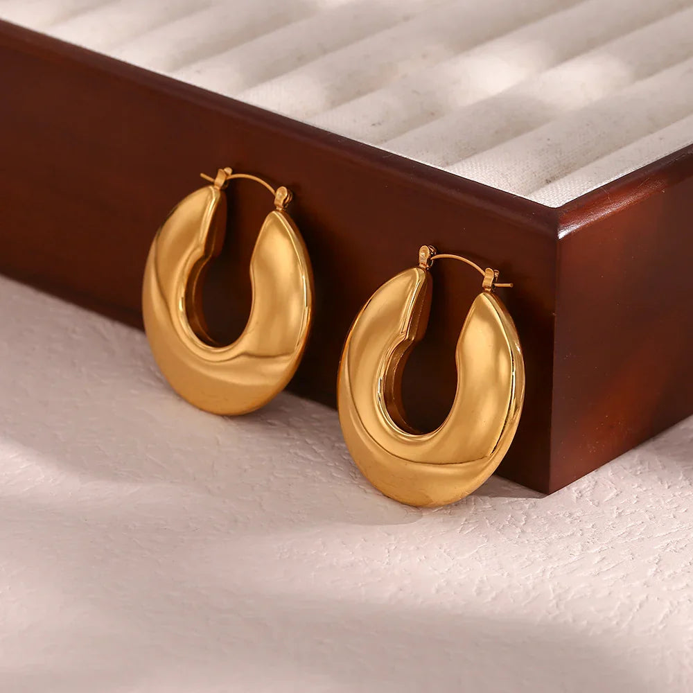 [Royal&Vicky]Kayleigh Chunky Hoop Earrings