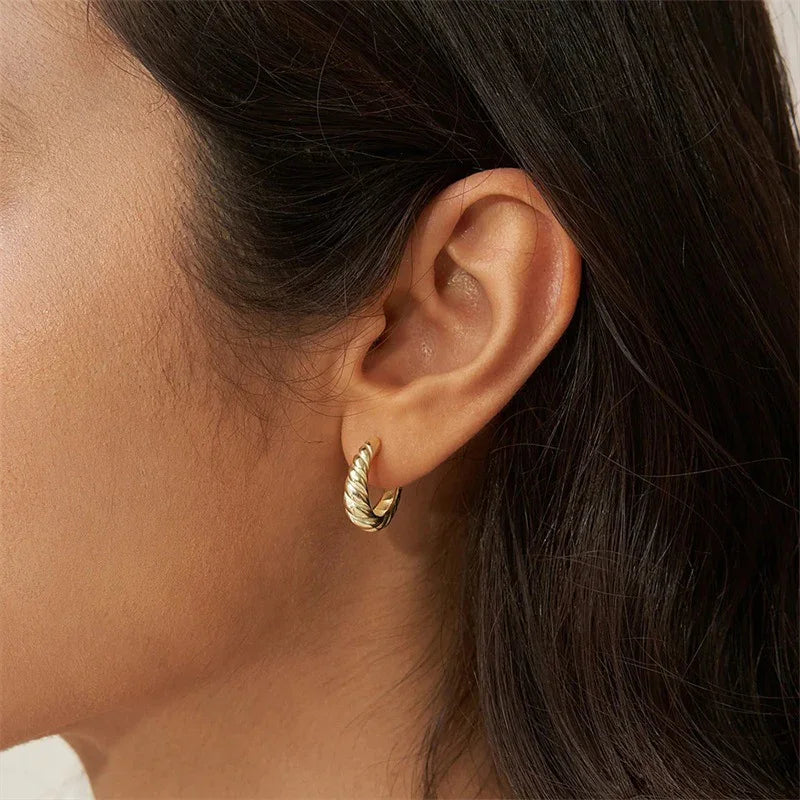 [Royal&Vicky]Croissant Arc Earrings